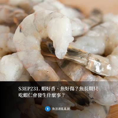 S3EP231. 蝦好香、魚好傷？魚長期只吃蝦仁會發生什麼事？