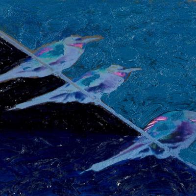 CANTICO Renato Sclaunich, Poesie - Osvaldo Negra “Operazione Pullus Freedom” CANTICO Renato Sclaunich, Poesie - Osvaldo Negra “Operazione Pullus Freedom”