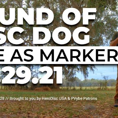 The Sound of DiscDog | Cue as Marker The Sound of DiscDog | Cue as Marker