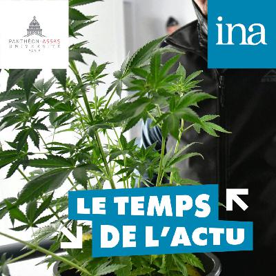 Faut-il légaliser le cannabis ? (avec Diana Villegas et Marie Jauffret-Roustide)