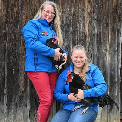 Special Rasseportrait: Augsburger Hühner - Teil 2 -#28