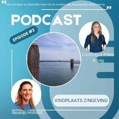 Vindplaats zingeving #3