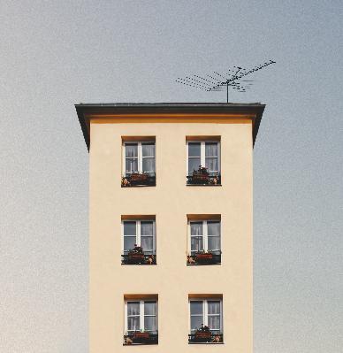 התייעצויות והחלטות