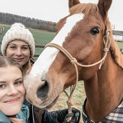 #26 Eläinlääkärin vuositarkastus
