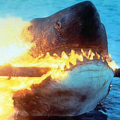 355. Jaws 2 (1978)