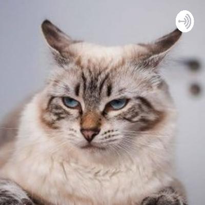 Los amigos imaginarios