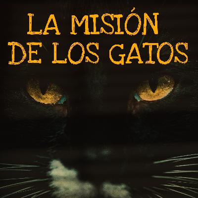 Datos sobre los gatos que no sabías | la misión de los gatos