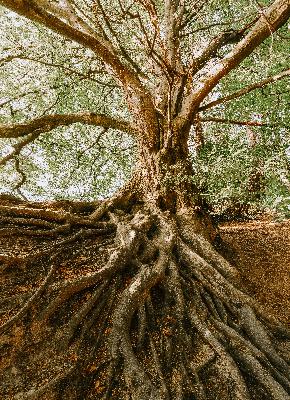 Desmoid Tumors with Dr. Aaron Weiss Desmoid Tumors with Dr. Aaron Weiss