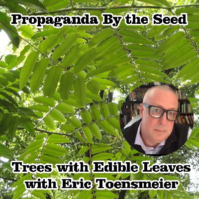 Trees with Edible Leaves with Eric Toensmeier