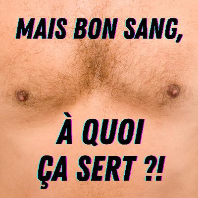 Pourquoi les hommes ont-ils des tétons ? 🤔