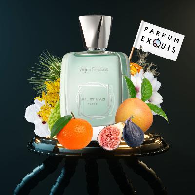 Aqua Sextius: Confidence and the Best Fragrance for Interview Success