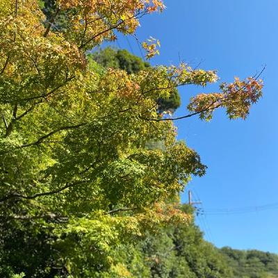 思春期と体育祭