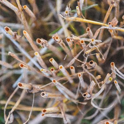 #4 Muldade lupjamine #4 Muldade lupjamine