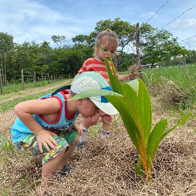 All About Panama Series: The Rainy Season - misconceptions; what we love about the rainy season; waterfalls; and cooler weather!