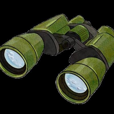 Princeton Birds: Interviewing Local Birdwatchers