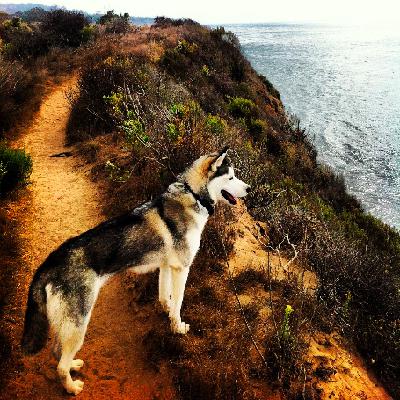 Blue Electric Night Blue Electric Night