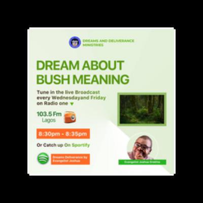 Dream About Bush Meaning