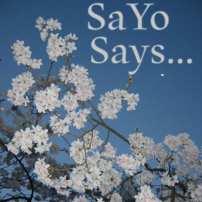 SaYo Says ep.1: I follow what excites me