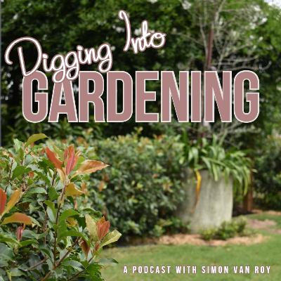 Digging Into Gardening – Indoor Plants