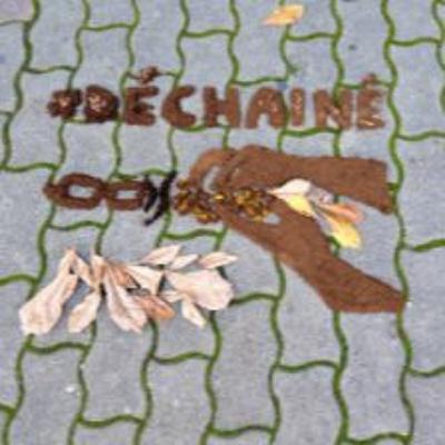 S4E2: Energy and Climate Policy in Germany