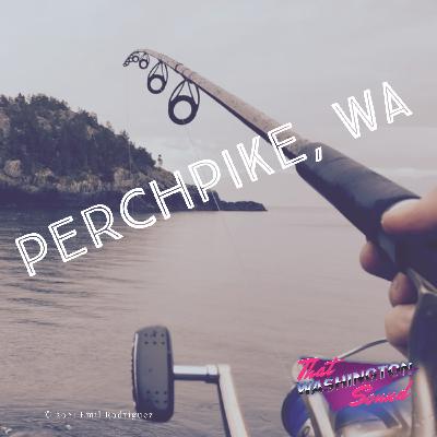 Perchpike Finale Part 1 : Lost in Time Perchpike Finale Part 1 : Lost in Time