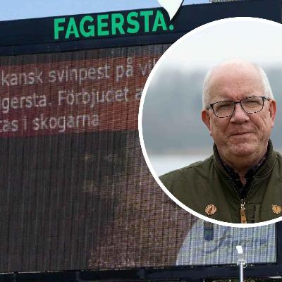 Vi sammanfattar nyhetsåret: Jägarnas heroiska arbete fick bort svinpesten på världsrekordtid