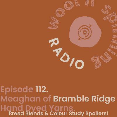 Meaghan of Bramble Ridge Hand Dyed Yarns