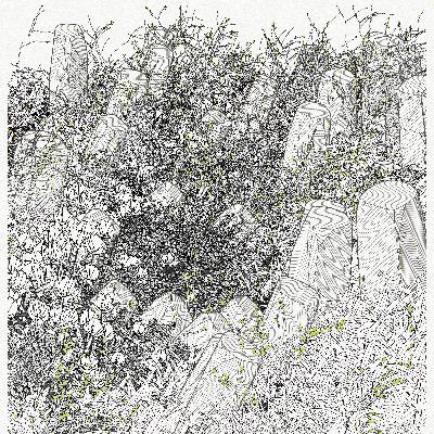 Beautiful Utopias: Interview with Zancan