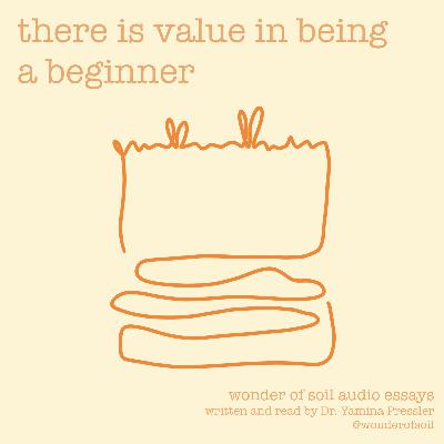 There is value in being a beginner There is value in being a beginner