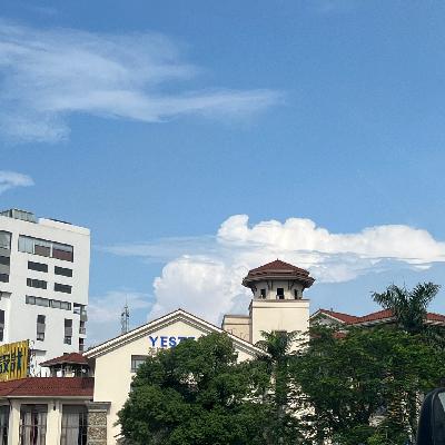 5.音乐欣赏:房东的猫_孟慧圆+-+凤凰花开的路口 5.音乐欣赏:房东的猫_孟慧圆+-+凤凰花开的路口