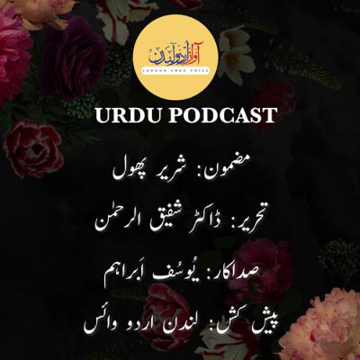 Shareer Phool-شریر پھول