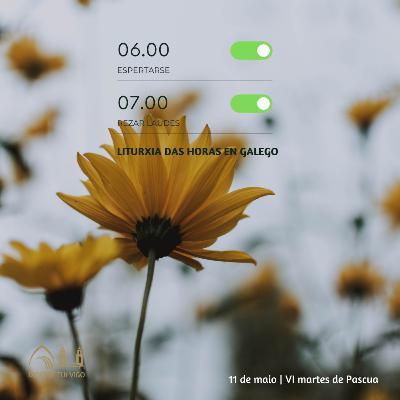 Tempo de Pascua | VI martes