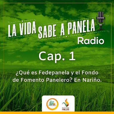 Capítulo 1 - ¿Qué es Fedepanela y el Fondo de Fomento Panelero? En Nariño Capítulo 1 - ¿Qué es Fedepanela y el Fondo de Fomento Panelero? En Nariño