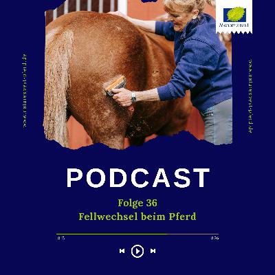 #36 Fellwechsel beim Pferd #36 Fellwechsel beim Pferd