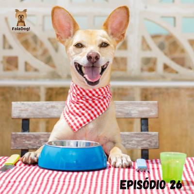 Como alimentar meu cachorro?