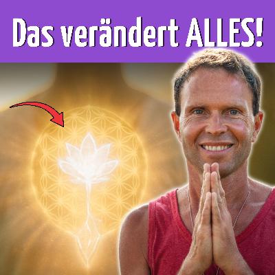 Das verändert alles: Du bist Schöpfer deines Universums! (Matthias Langwasser)