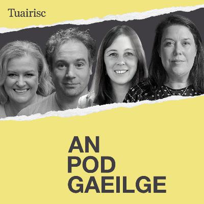 ‘Tá obair le déanamh le dul i bhfeidhm go ciúin ar dhaoine’ - Coimisinéir Gaeilge nua agus na dúshláin atá roimhe