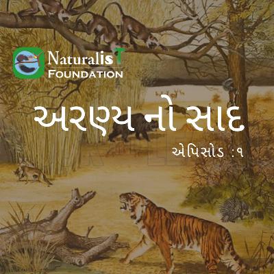 જંગલ નો અવાજ - એપિસોડ 1