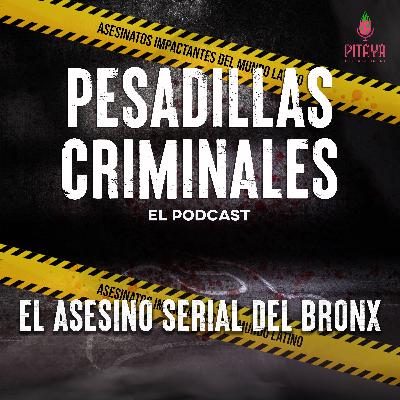 El asesino serial del Bronx