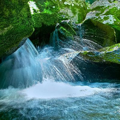 テスト音源です。