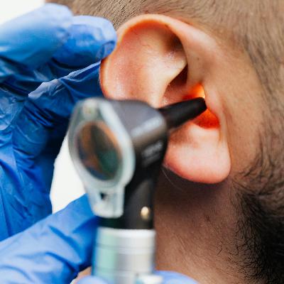 The Basics of Hearing