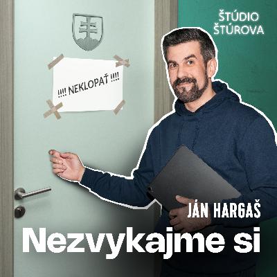07 - s Martinou Kolesárovou: Načo sú nám mimovládky?