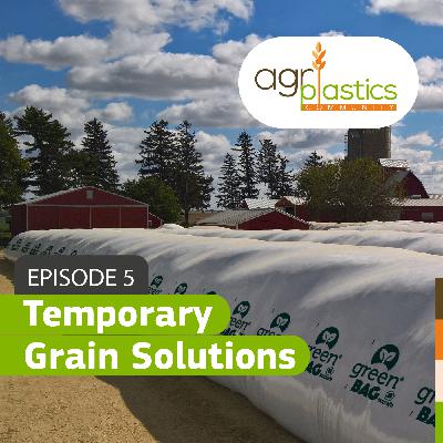 Temporary Grain Solutions