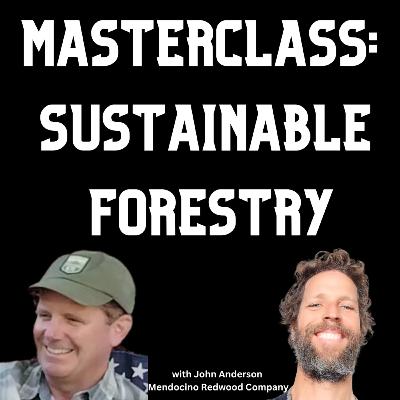 Can BUYING WOOD help SAVE our forests? Deep Dive Interview with the Expert
