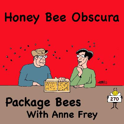 Package Bees with Anne Frey (270)
