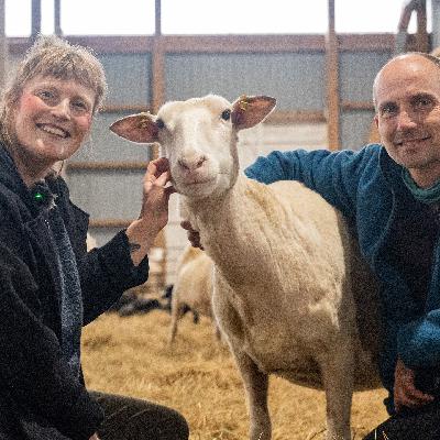 In der Friesischen Schafskäserei – mit Redlef Volquardsen In der Friesischen Schafskäserei – mit Redlef Volquardsen