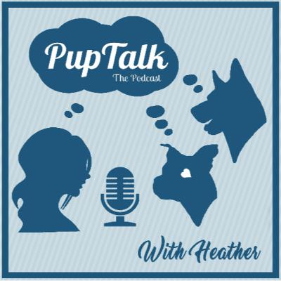 Getting a New Pet - Are You Ready?