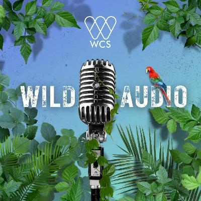 S4 E11: World Oceans Day | Young Voices Are Speaking Out to Protect the Hudson Canyon