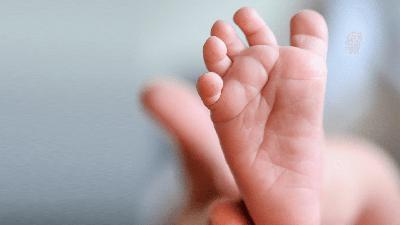 The Tiny Foot The Tiny Foot