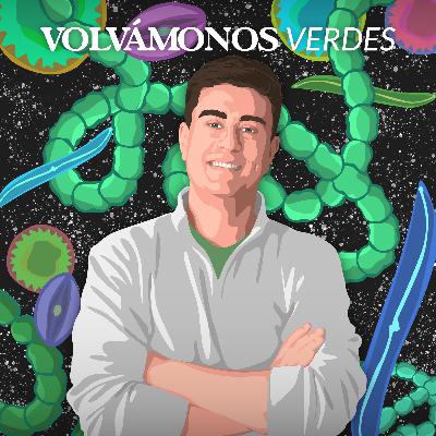 Brandon Marcus | La vida no se construye sola | 129